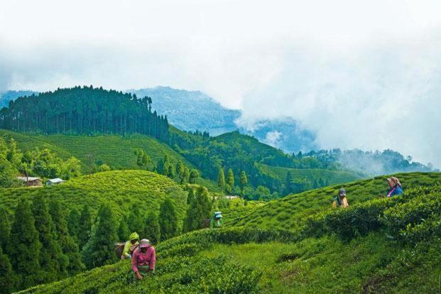 Hotel Central View - Darjeeling 다르질링 외부 사진